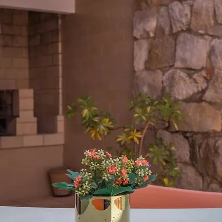 Casa Jacarandá Silves